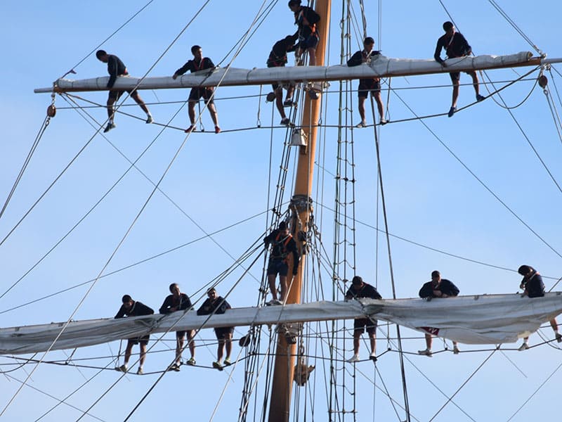 0-0325edec-6634-475a-81e2-875f728b830f-800x600 Cruise 5 Tall Ships Boston